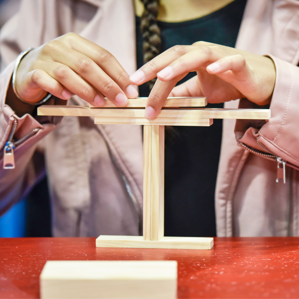 Kapla Challenge- Denge Oyunu