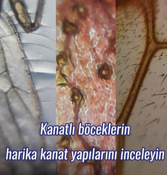 Foldscope Mikroskop Montajlı  Temel Başlangıç Seti