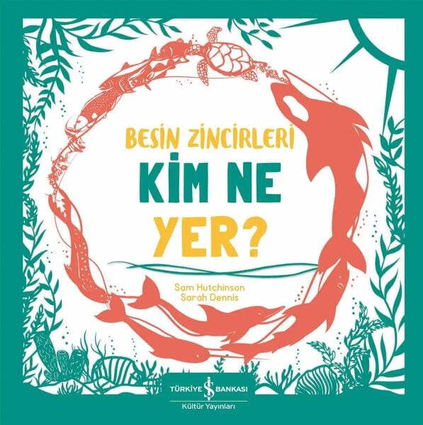 Besin Zincirleri Kim Ne Yer?