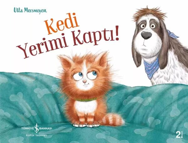 Kedi Yerimi Kaptı